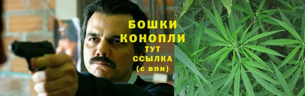 шишки Куйбышев
