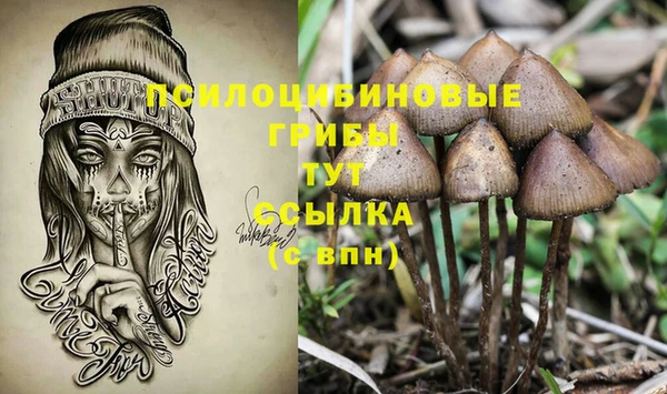 сатива Краснотурьинск